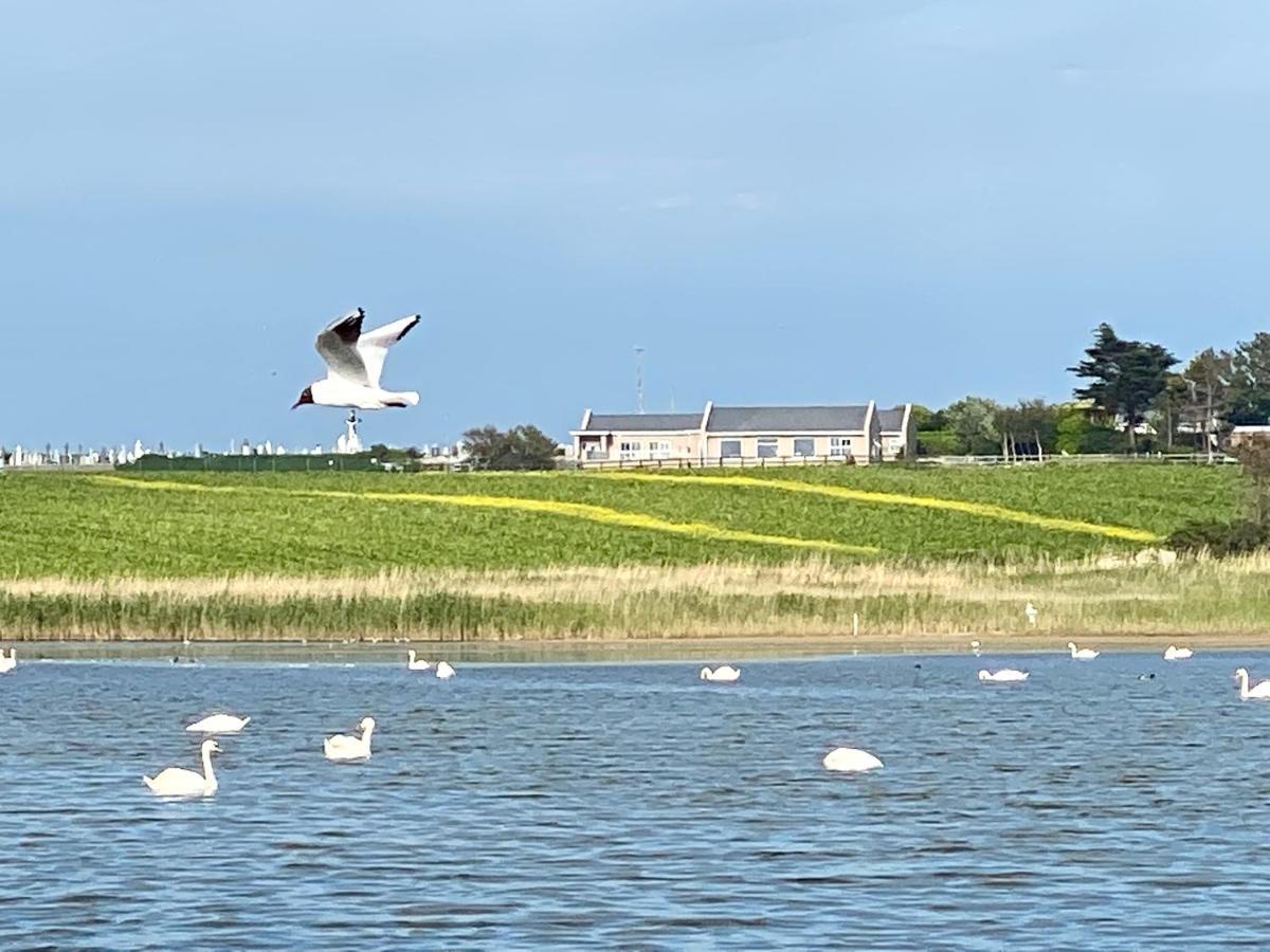Sandawana Our Lady's Island Экстерьер фото